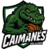Caimanes del Llano