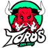 Toros del Valle