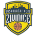Zivinice