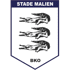 Stade Malien