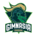 Gimnasia Comodoro