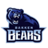Bakken Bears